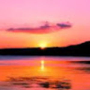 Meet your Posher, Elle